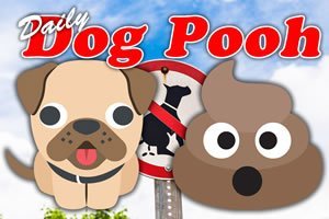 dailydogpooh