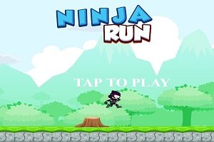 Ninja Run Adventure