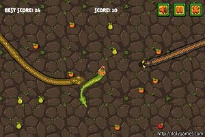 Snake Attack